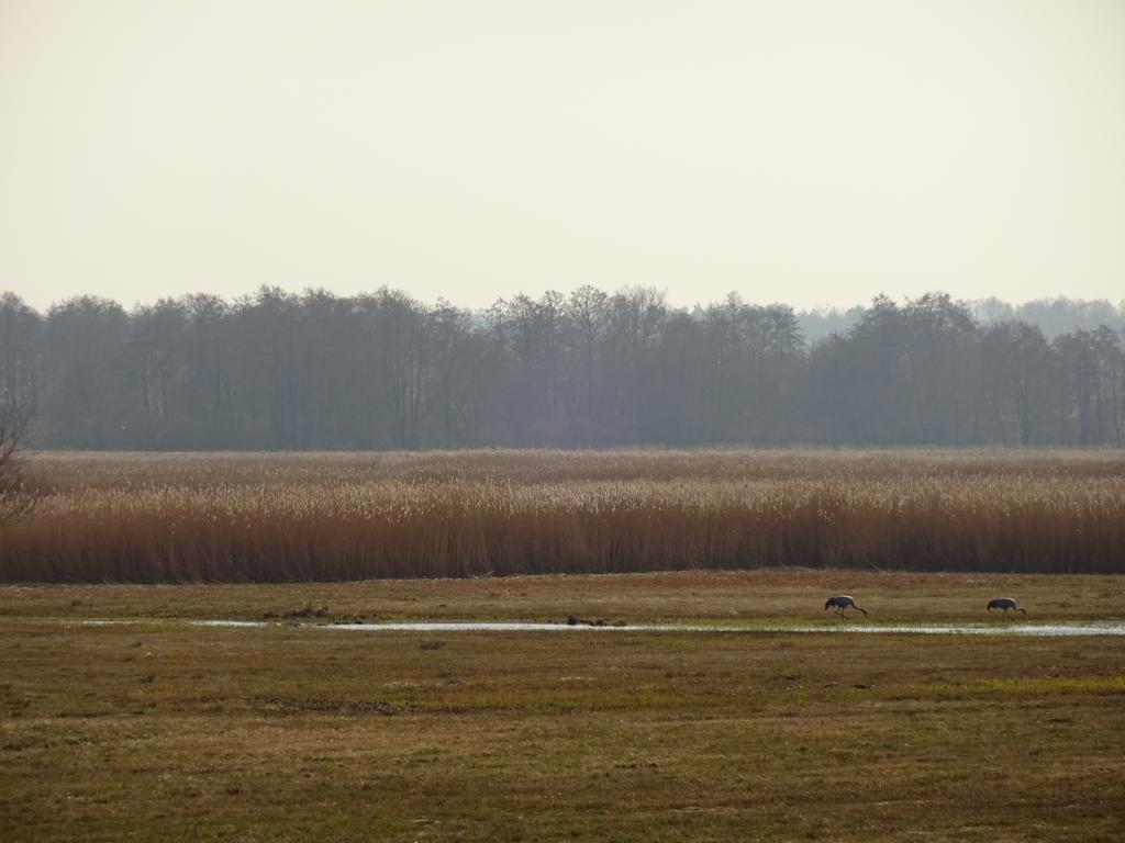 Sloneczny Wodnik Lägenhet Braniewo Exteriör bild